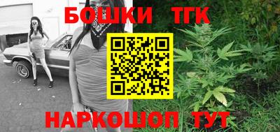 крисы Нальчик