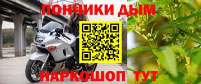 крисы Нальчик
