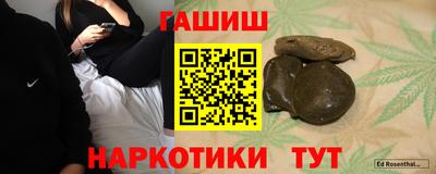 крисы Нальчик