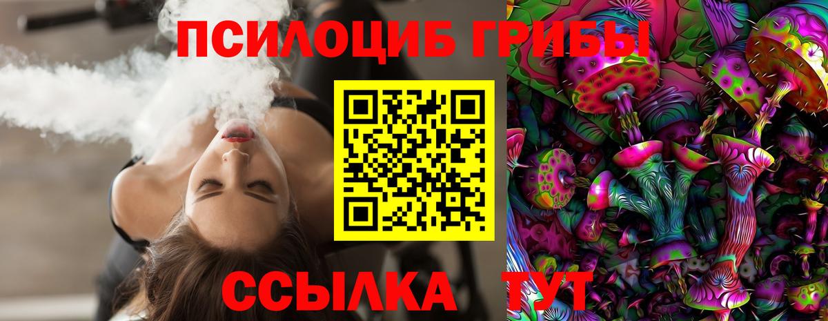 Старая Купавна  Псилоцибиновые грибы прущие грибы  Вход с VPN  Галлюциногенные грибы Psilocybine cubensis 